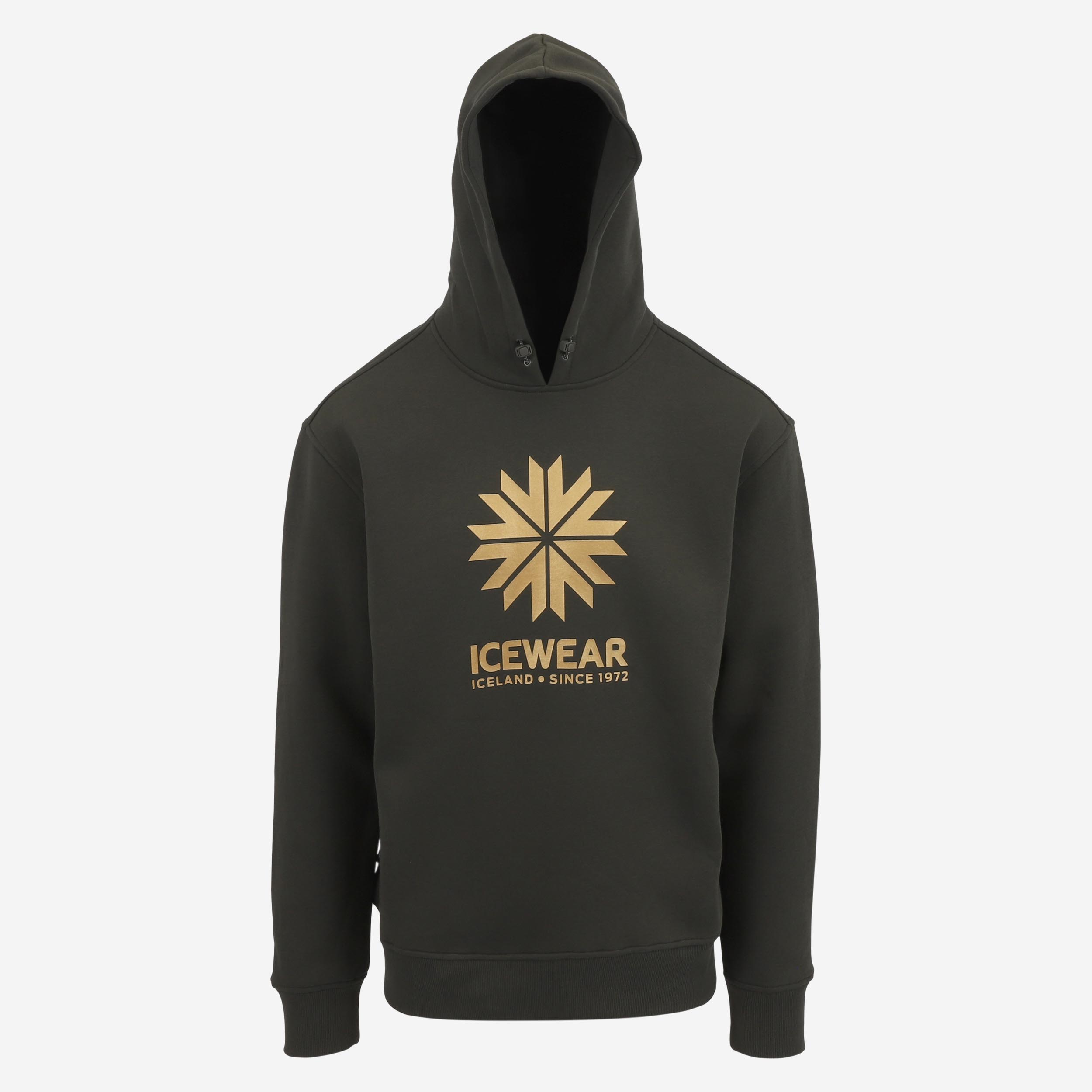 iceland-hoodie-cotton_lonsvik-anniversary-edition_43.jpeg